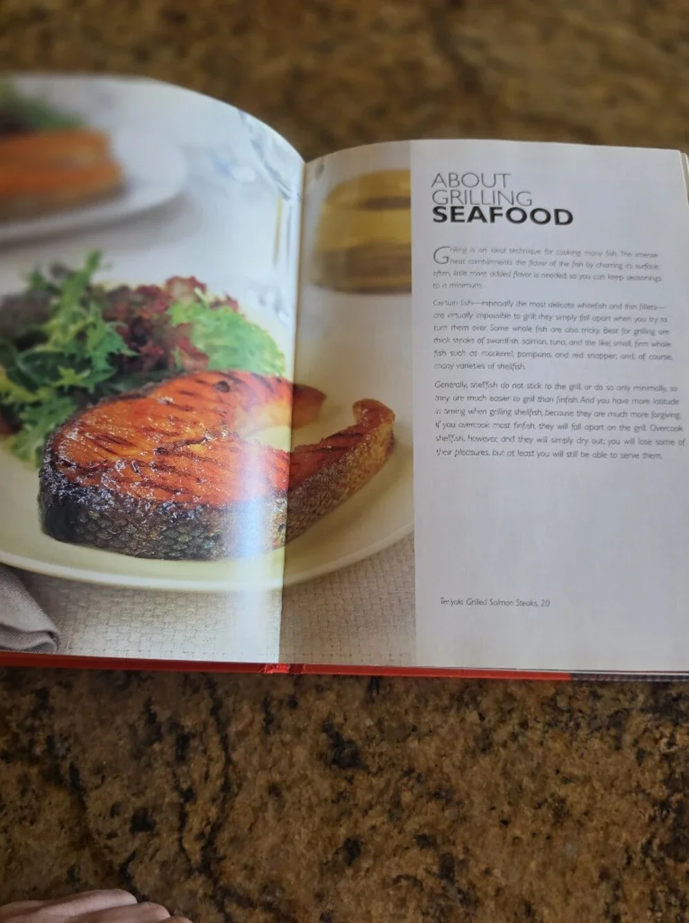 All About Grilling Hardcover Cookbook - Joy of Cooking - Rombauer EUC